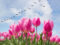 3 Springtime Leadership Reminders To Help You Succeed This Year